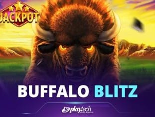 Buffalo Blitz game icon